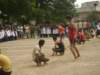dsc00050_small.jpg